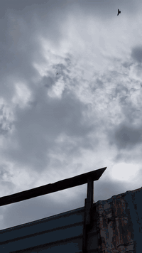 السلام عليكم اخوان حمام طيب جسم ونضافه ولوت الله شاهد بالهوه العالي كلهن يكعدن بيهن مشاغل وبيهن ملموم وميزه . هاذ رقمي ‭0788 298 8428‬ وبخدمتكم  مكاني البصرة قرب حي الزهراء
