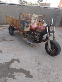 ستوتة • بدون اوراق • مكفولة