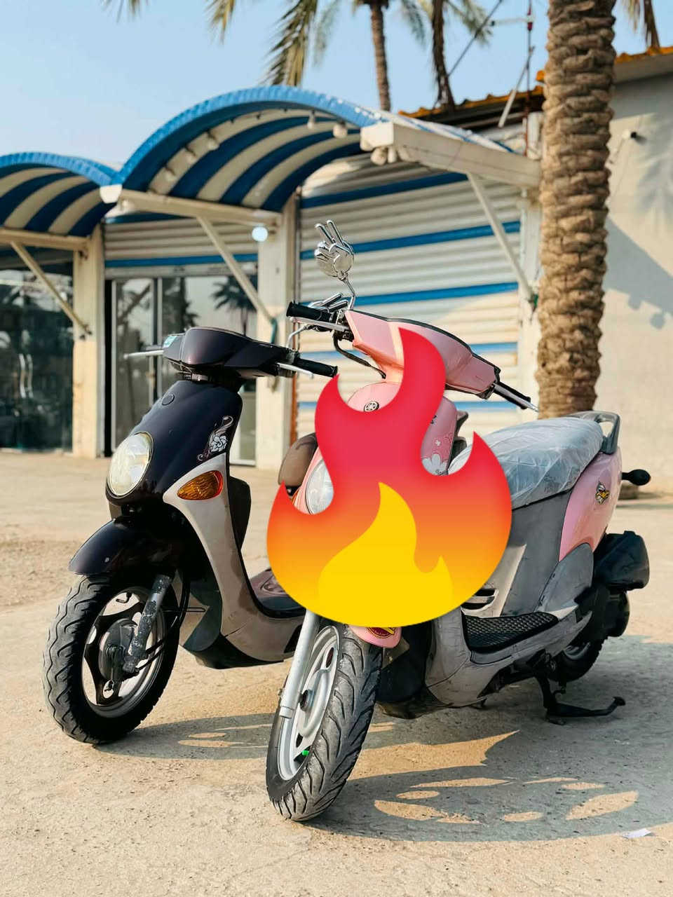 السلام عليكم
فله البيع الجوزي حبايب الدراجه وكاله  كلها  بلادي كله شغله مكينه ما مفتوح و ناعمه كلش الدراجه نوزل مكان الدراجه بل حله حي الجزائر (ما متواجد فيس) الاستفسار اكثر عل رقم  ***********
