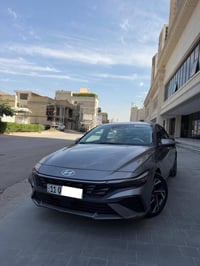 النترا 2024  فول الفول للبيع فقط وارد امريكي لمتدد فول مواصفات لمتدد  ...