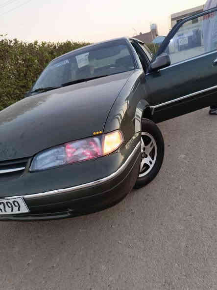 ((( ليدور جديد هوه هاذه جديد ع أيدي بعده شركه ))
والياخذها بالعافيه عليه 
السلام وعليكم..... 
دايو برنس فراشه 🦋  موديل 1996 ..... الون ميزز زيتوني
رقم بغداد الدولي  .... مشروع وطني  سنويه ل 2028
تحويل بنفس اليوم...  
كير وتماتيك....
محرك مفتوح....
كير ومحرك جدد حاويه بشرط مكفولات ........
ماشالله بيه نعومه فول ترايك وين ميعجبك 
ويل كب مجلي لونين
تخم تاير....... باتري جديد 
كهربائيات كله شغاله .... 
اربع جام كله شغال 
مسجل البلادي شغال  
كيجات كله شغاله
بريك ماله نص دوسه 
شرط الغود وتكم وقماره بلاديات ع وضع الشركه 
مشط ستيرن باور سلف داينمو راديتر كله جديد 
شرط لاضربه ولا طخه ولا كص ولا خياس حته دوسات ودواير ماملعوب بيهن بلاديات فقط صبغ احزام بالفرن تعمير درجه اولى 
شواصي حيل نظاف 
صدر خلفي أمامي جديد 
غرفتها جديده ...دواخلها جدد بطاين جدد كشنات ع وضع الشركه 
السعر)( 49 ))بيها مجال ... بصيط حك الجيه 
رقم الهاتف )) ‏‪***********‬‏ /‏‪***********‬‏
مكان سيارة بغداد
  السياره محد يعرف قيمتها بس الجناي وبلحقيقه احله من الصور 
الله شاهد متعوب عليه
اسف عل اطاله الشراي يتصل غير متواجد عل 
فيس اتصال فقط .....
