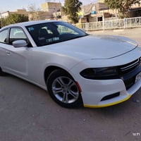 مزمز 23اصل ١٥ السعر ١٧٥  ٠٧٨١٦٩٠٣٩٤١