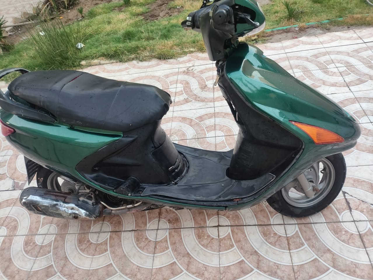 دراجه لبيع مفتوحه بس مره وحده كلشي شغال سلف شغال بس راجز ما بيه مكاني تنومه نهر حسن السعر 450بيه مجال  رقم ***********
