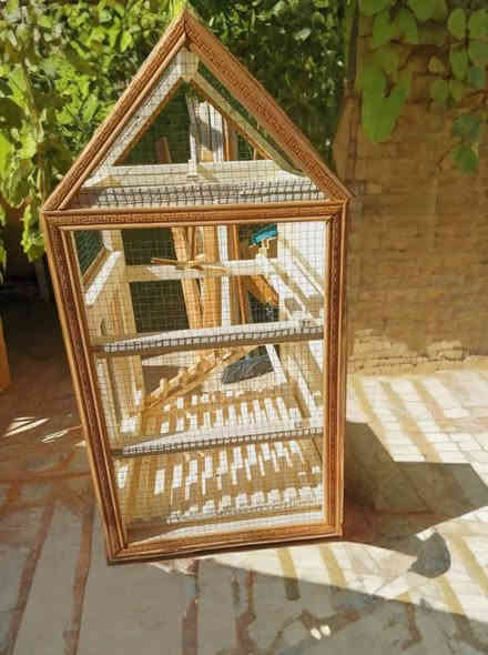 قفص للبيع الجوزي ب٣٠ والاخضر ب٤٠ العنوان كربلاء حي الاطارات للاستفسار الاتصال ع هذه الرقم ***********او المراسله ع الخاص
