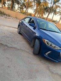 النترا • ٢٠١٧ • جديدة الشط