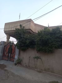 حي الامير الزراعي • سند ٢٥ • ٢٨٠م