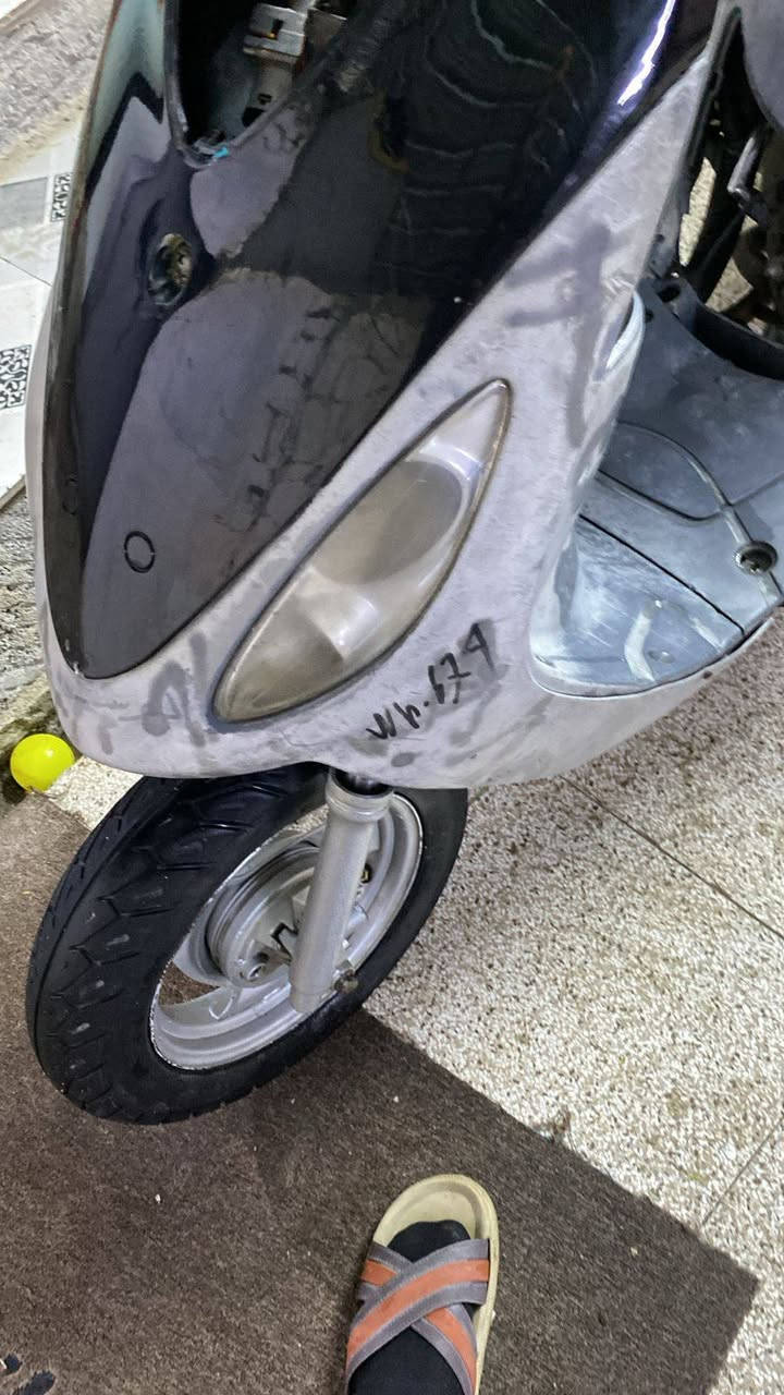 للبيع ماكس منغولي 55
مكانك ناصريه سوك الشيوخ ***********
