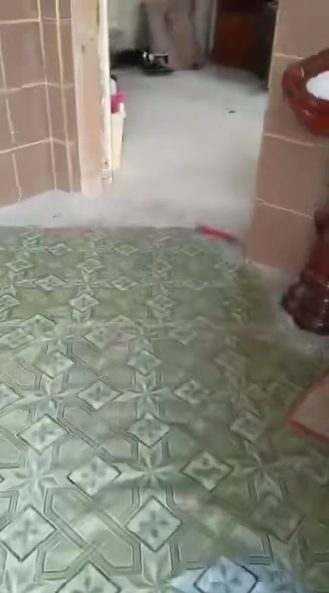 سلام عليكم. بيت للإيجار  بالصوفية  شارع 40 قرب جامع الواثق. سعر الايجار 400
ايي استفسار ع هذا الرقم ***********
