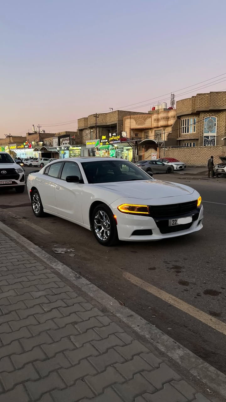 السلام عليكم
شباب المنشور واضح وتفاصيل كله واضحه والله يرزق الجميع 
___________________________
🔷السيارة : #دوج_جارجر
 SXT PLAS
 يعني فول للاخير

🔷سنة الصنع : 2021
🔷اللوحة : اربيل دولي مداور او وكاله 
🔶السعر : 220 ورقة 
🔷الضرر : تبديل وصبغ البنيد وبيه كلير من امريكيا باب خلفي وجاملغ خلفي بدون معجون بدون فتح  (صور الضرر مرفقة بالاعلان)
🔷ضرر الايرباك : ستيرن ودشبول وبردة وراجع سستم اصلي ودشبول مغلف علمود التطريز 
🔷رقم الشاصي : 2C3CDXBG4MH548464
______________________________________
🔷المواصفات:
🔹حجم المحرك 6 سلندر 3.6L
🔹عداد المسافة 72 الف ميل 
🔹فتحة سقف
🔹حساسات خلفية
🔹كراسي جلد بلاد 
🔹الكراسي الامامية كهرباء وتدفئه تبريد 
🔹الكراسي الخلفيه تدفئة 
🔹ويل كب حجم 18 انج مع اطارات بحالة جيدة
🔹وضعيات قيادة
🔹لايتات LED بالكامل
🔹شاشه تحكم بالايعازات
🔹تحكم ستيرن جهتين
——————————————
☎️ الاتصال :
***********
📍النجف الاشرف -
