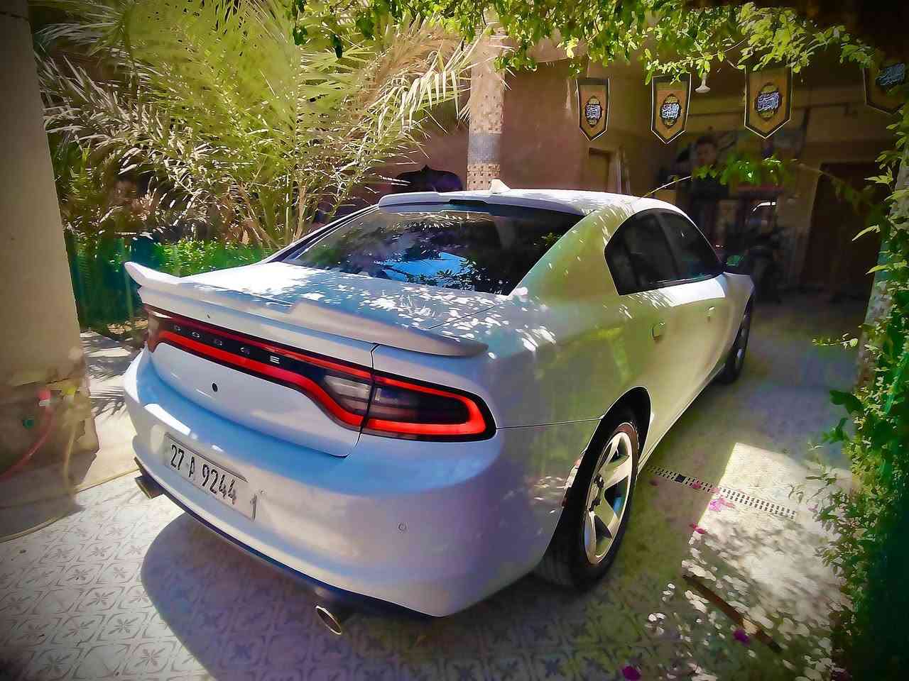 چارجر 2023 اصل    . تو ويل
مكفوله ضربتها بس دعاميه اماميه
ماشيه 37 مرقمه بأسمي
السياره بوليسي جديده كلش
مكينه هيمي وتوني شاد الها منظومة غاز جديده يعني تنسه الصرف
السعر 228
صور الحادث بالمنشور وهذا رقمي ***********
