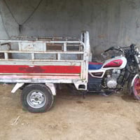 سلف هندر • شغالة • اوراق صولية