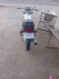 ٥٥٠ • ٢٠٢٥ • محموديه