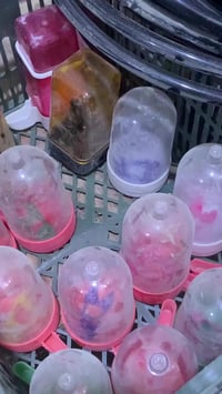 طيور زينة • أقفاص • مكملات غذائية