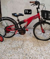 الباسكلات • للبيع • السعر بالصورة