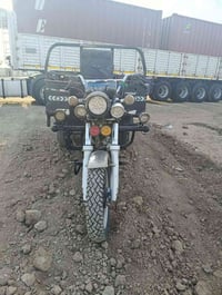 أوراق أصلية • محاويل • يحتاج ربط كهربا