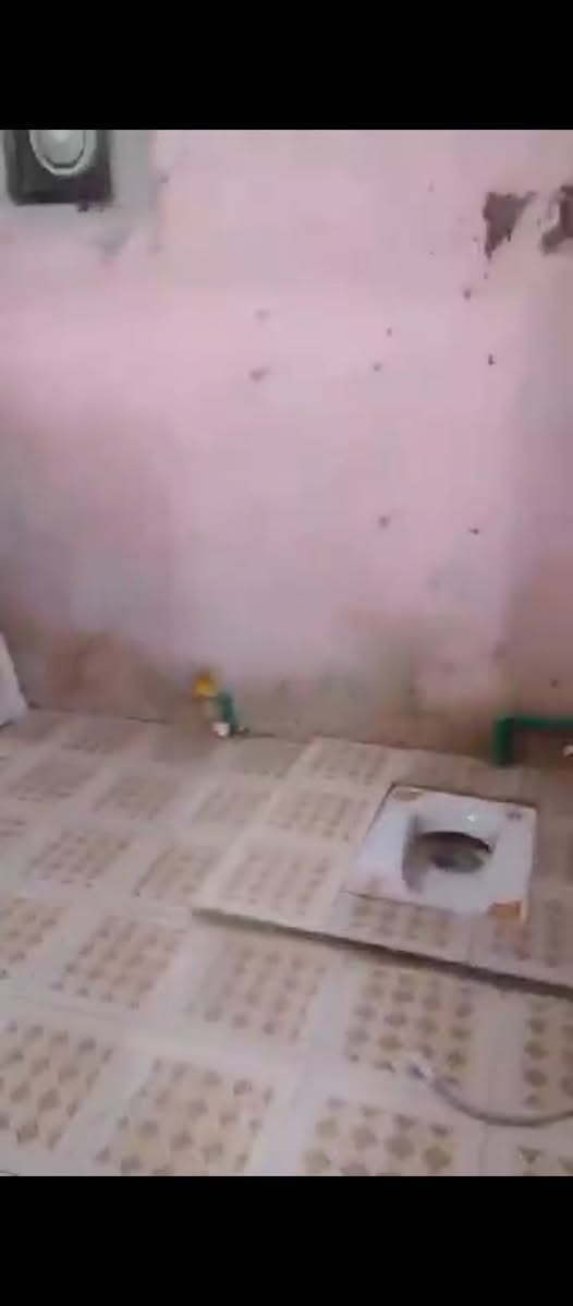 اسلام عليكم بيت تجاوز 5 ميل مقابل جسر الاگزيزه بظبط ما عليه كص تجس تسئل كل الجيران ياله تاخذ منطقه الگدامي كلهه مبلطه البيت  مثل ما واضح بل فيدو جاهز ويا مقطوره طن گيزر ماطور ماي تعال وسكن السقف نص سندويج ونص چينكو ومن داخل كله سقف ثانوي كهرباء كله جديد ع ايدي مجاري وصبغ كامل  السعر11وبي مجال  مساحه 150 متر البصرة, العراق


**إذا كنت صاحب هذا الإعلان وتريد حذفه لأي سبب، رجاءا أرسل رسالة إلى الدعم الفني**