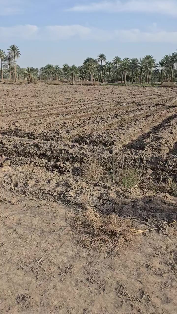 سلام عليكم ارض زراعي البيع مساحة دوانم طريق الزوار الجربوعية الاستفسار ***********
