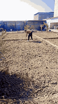 السلام عليكم اخوان حراثة حدائق وترتيب وزراعة الثيل ***********بي واتساب مكاني بني  منصور
