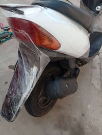 ساسوكي • نضيفه • المجر الكبير