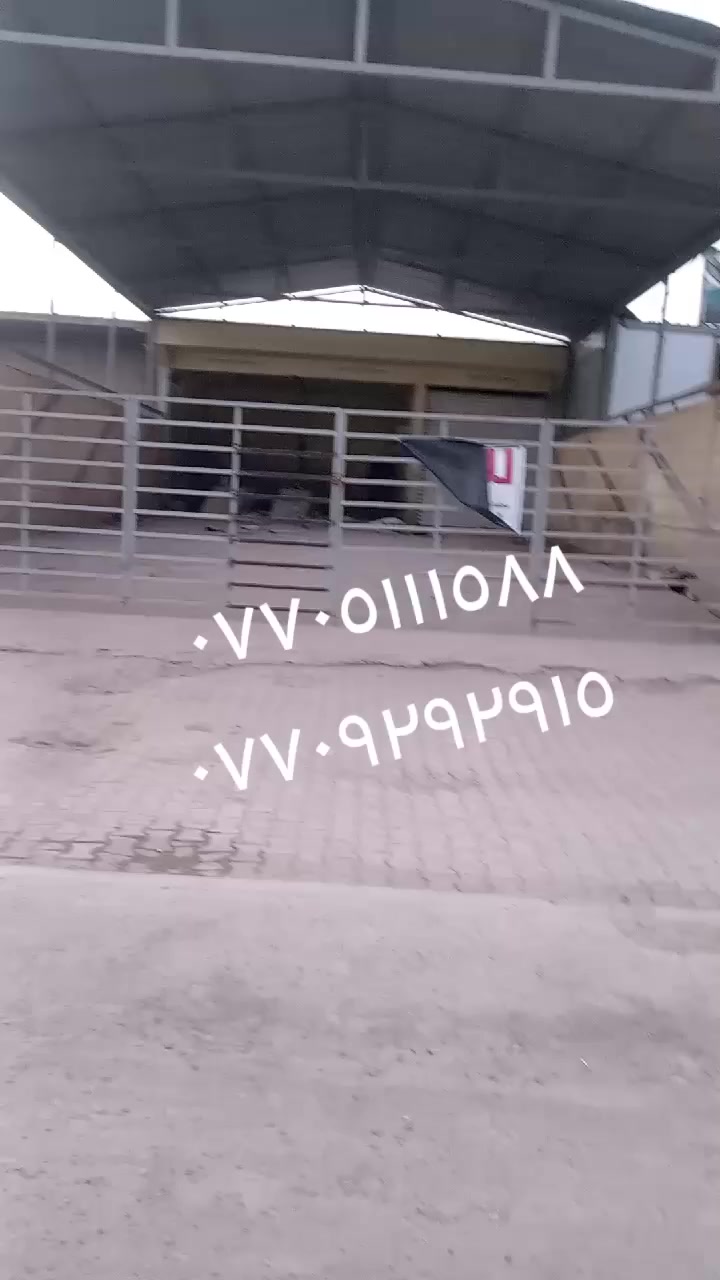 سلام عليكم غسل مع قطعه خلف الغسل مجموع ٣٧٥ متر حي بدر شارع المطار صاير تجاري يرهم مول ويرهم سوبر ماركت ويرهم جملون تسويه السعر ٣٥٠ مليون للاستفسار ***********
