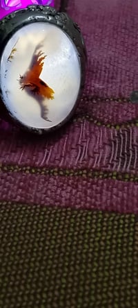 محبس فضة • خراسانية • البصرة