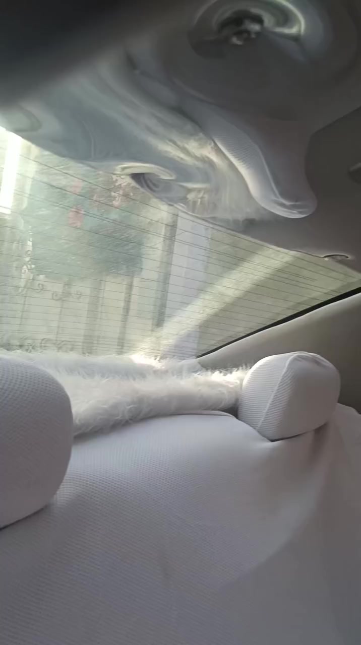 سلام عليكم بطه البيع كفاله كصه ونقل جثه رقم انكليزي جديد سعر 50 تواصل ***********
