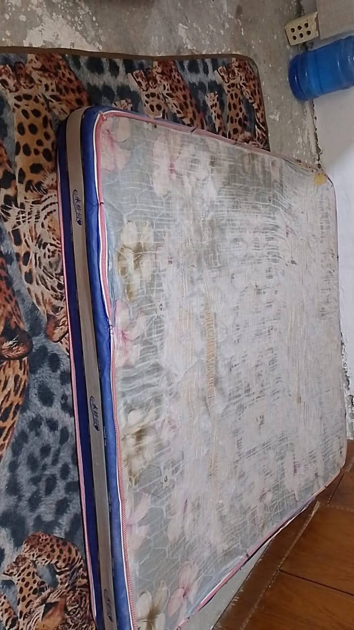 دوشك نفرين سعر 30 بي مجال


**إذا كنت صاحب هذا الإعلان وتريد حذفه لأي سبب، رجاءا أرسل رسالة إلى الدعم الفني**