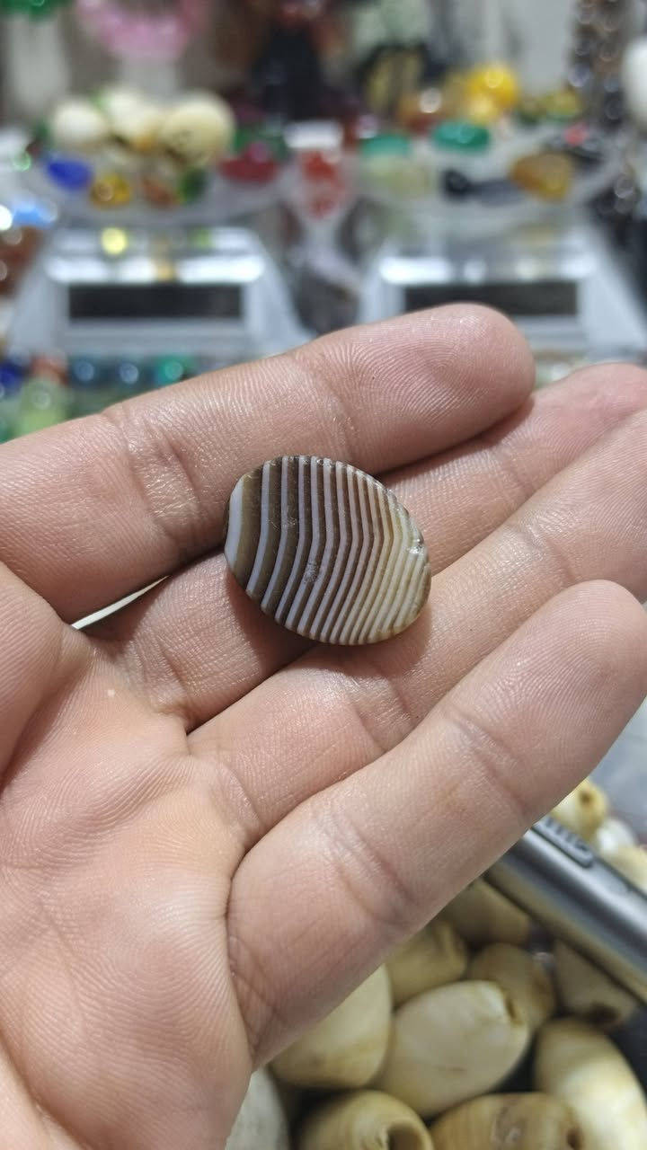 يماني ذنب النحله قديم


**إذا كنت صاحب هذا الإعلان وتريد حذفه لأي سبب، رجاءا أرسل رسالة إلى الدعم الفني**