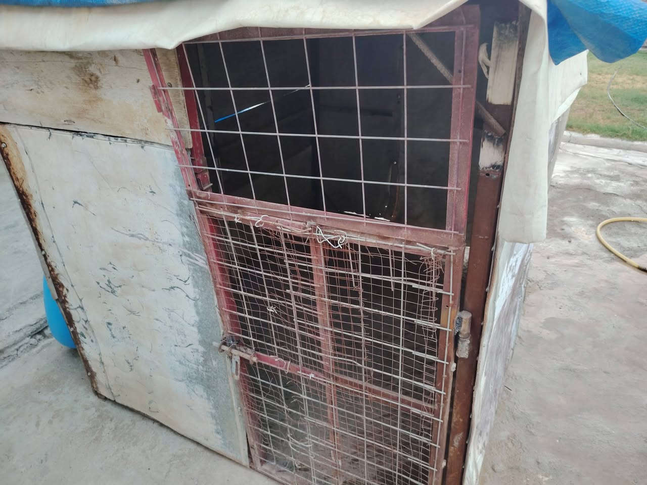 قفص للبيع الطول مترين سعر ٧٥الف /***********
