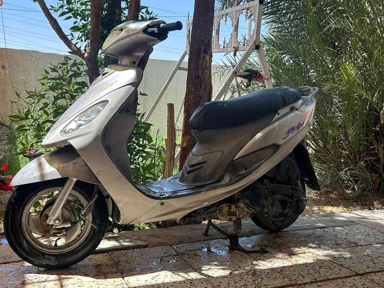 ماكس منغولي ما مفتوحة مراوس بعدلة فقط


**إذا كنت صاحب هذا الإعلان وتريد حذفه لأي سبب، رجاءا أرسل رسالة إلى الدعم الفني**