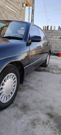 بطه • ١٩٩١ • مكفول