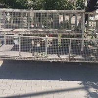 اقفاص دجاج للبيع ثنين شراي بخدمته سعرهن ،250 وهذا رقمي 07716229424