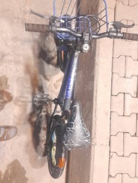 بسكليت ١٦ • بسكليت ١٢ • التحرير