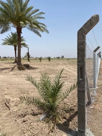 بابل النيل • أراضي زراعية • سند ٢٥