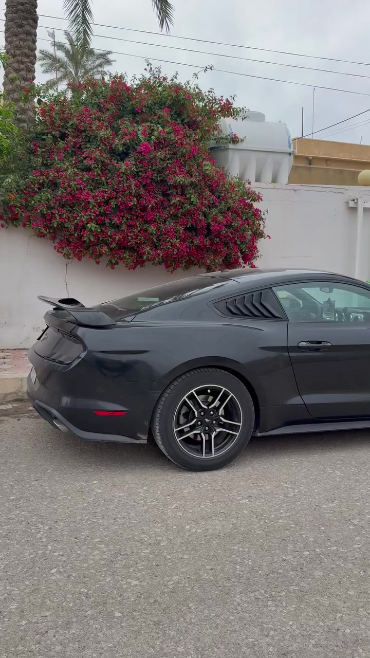 فورد موستنك 2018 ايكوبوست 4 سلندر للبيع رقم بغداد عنواني ديالى ضررها بنيد وجاملغ سونار وتفاصيل واتساب ***********
