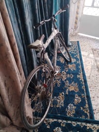 700c • سياحي • بابل