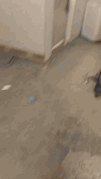 بيت البيع منطقه الامين الثانية قرب نقطه النفط سكينه وكريات بغداد متر  100    ***********
