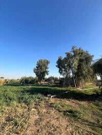 مزرعه للبيع 3 ونص دونم قرار 117 المزرعه مخدومة كافت الخدمات وكافت الأش...