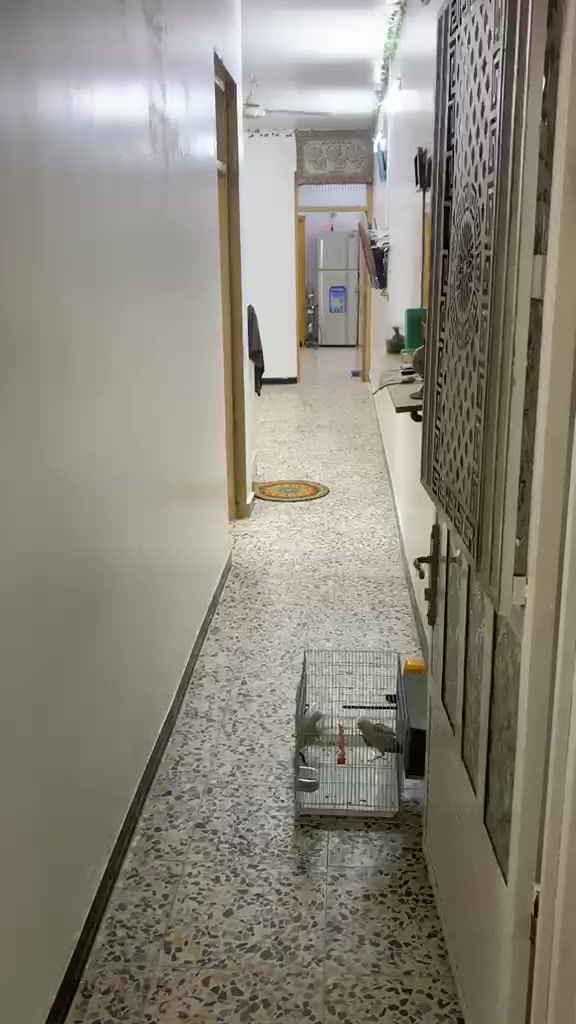 اي ستفسار على هذه رقم***********
