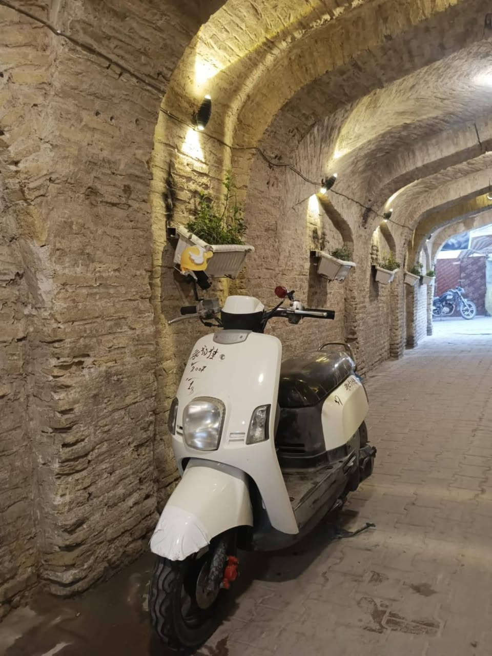 البيع دراجه ماكس بوليس كابريته كفرات ختم واحد داخل وخارج وبيهه وصل معرض مكفوله كفاله عامه نتصل وبيك خير ودلل***********
