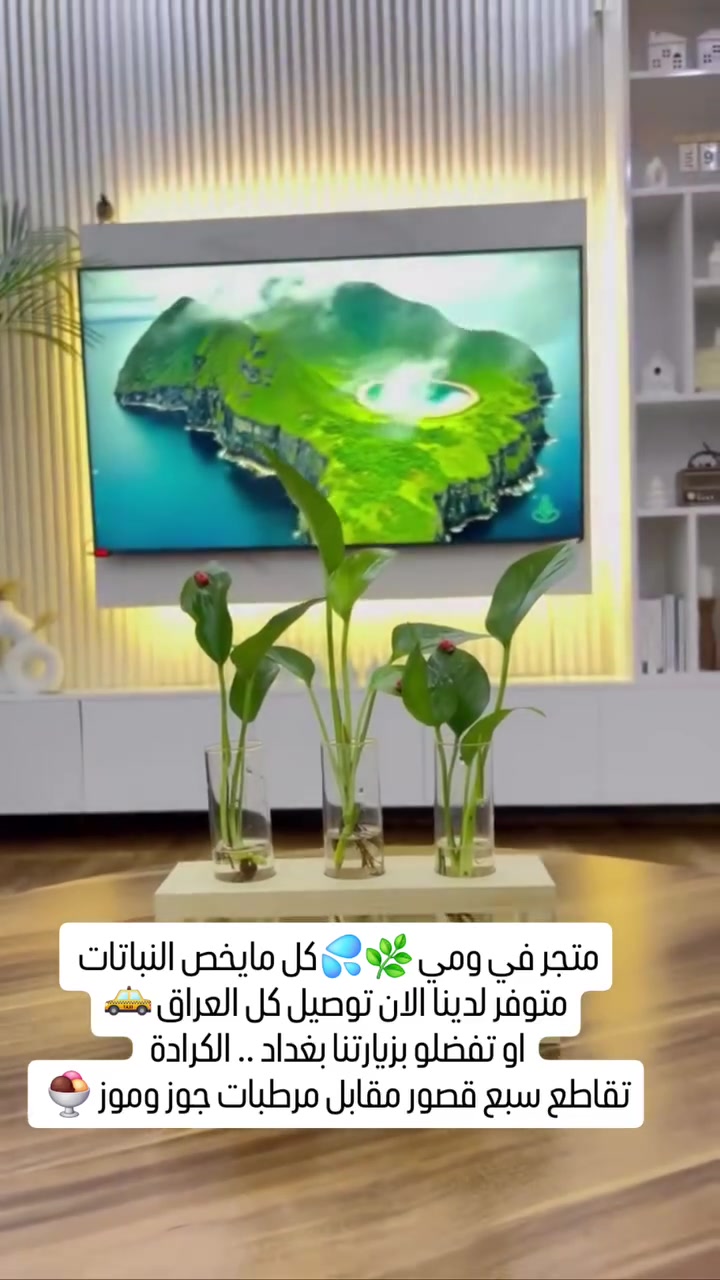 🌿💦 متجر في ومي | كل ما يخص النباتات 🌱
مرحبًا بكم في متجر في ومي... وجهتكم لكل ما تحتاجه نباتاتكم لتزدهر وتبقى أجمل. 💚
نوفر لكم تشكيلة متنوعة من المنتجات عالية الجودة، منها: 🌱 مستلزمات العناية بالنباتات
🪴 سنادين وأحواض بأشكال عصرية
🌿 قوارير تجذير مغناطيسية وزجاجية
💧 أدوات الري والرش
🌾 بذور وأسمدة ولوازم زراعية متنوعة
🎁 أفكار ديكور وهدايا لعشاق النباتات
✨ نسعى لتقديم منتجات تجمع بين الجودة، الأناقة، والسعر المناسب، مع خدمة مميزة واهتمام بكل محبي الزراعة.
📩 راسلونا لمعرفة الأسعار والتفاصيل، وسنساعدكم في اختيار ما يناسب نباتاتكم.
في ومي... لأن كل نبتة تستحق عناية خاصة. 🌿💚
....
للطلب توصيل كل العراق  🚖
او زورونا.      بغداد ..الكراده 
تقاطع سبع قصور مقابل مرطبات جوز وموز 🍨


**إذا كنت صاحب هذا الإعلان وتريد حذفه لأي سبب، رجاءا أرسل رسالة إلى الدعم الفني**