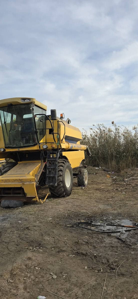 *********** حاصوده للبيع 16مكفوله كفاله عامه مكان الحله رقم سليمانه
