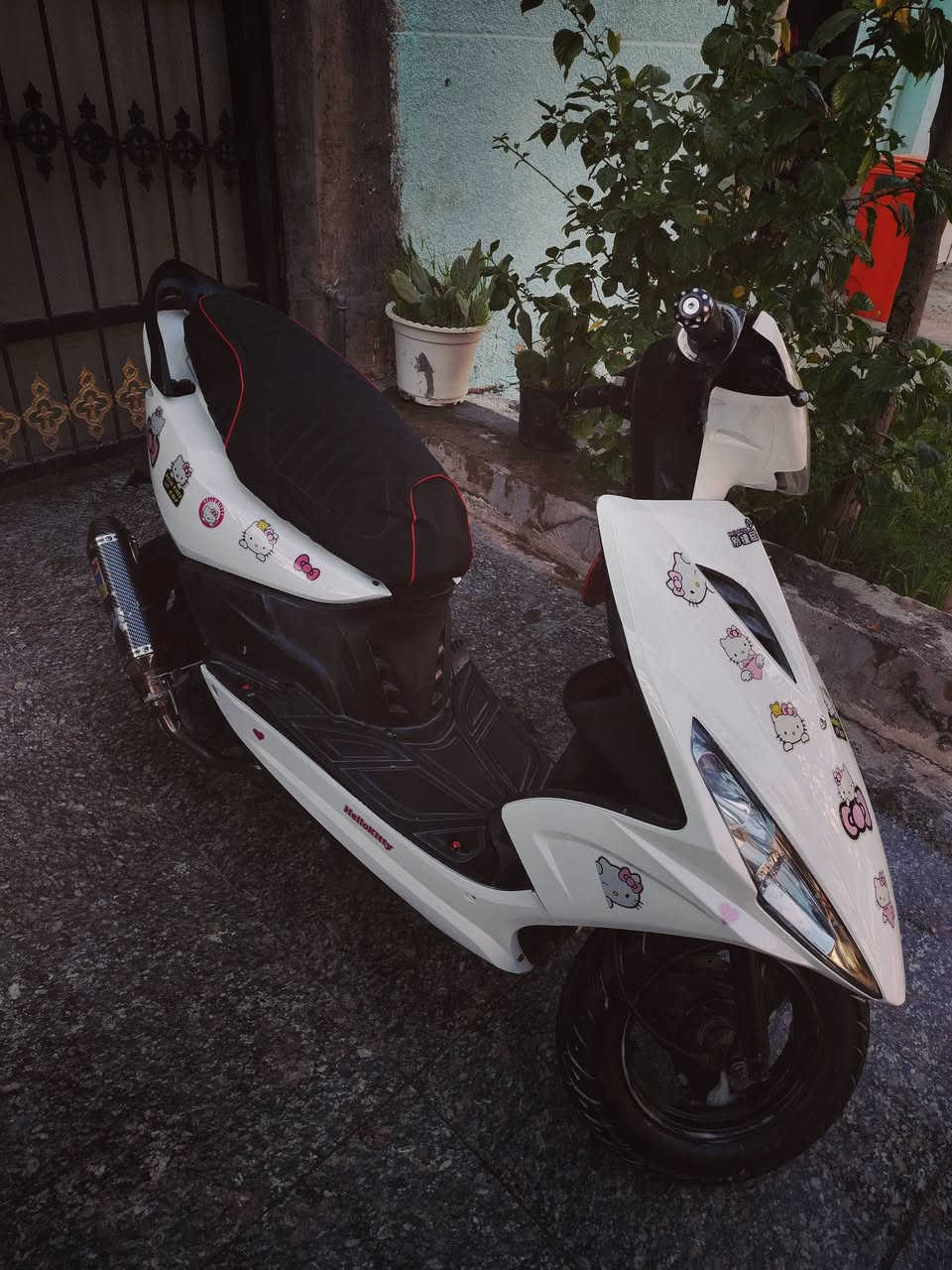 ماكس مضلع للبيع نكره سلف كهربائيات كلها شغاله مكينه ناعمة وحلوه عليها تزويددات خارجيه بسيطه دراجه مذب عليها ربع دينار كامله مجمله سعر450وبيها مجال بسيط مكاني بغداد جكوك


**إذا كنت صاحب هذا الإعلان وتريد حذفه لأي سبب، رجاءا أرسل رسالة إلى الدعم الفني**