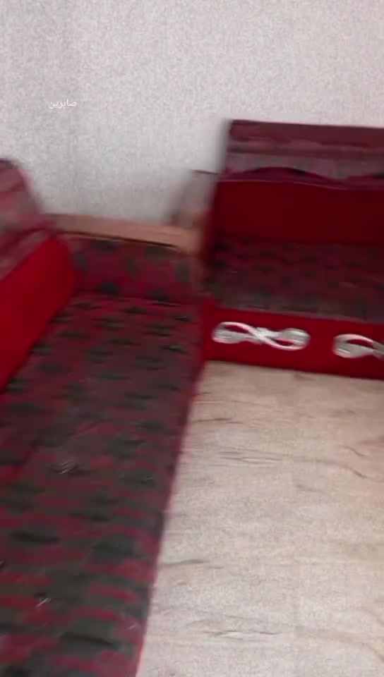 للبيع كلمن وسعرة


**إذا كنت صاحب هذا الإعلان وتريد حذفه لأي سبب، رجاءا أرسل رسالة إلى الدعم الفني**