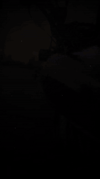 بارت مكينة٢٠٠ مو بس شكل٢٠٠ حقيقي  كل عيب مابيهة
٢٠٢٤مكان اربيل سعر ٦٥٠او بيها مجال منفيست الاصلي بس ضايع عندي نسخه استنساخ الاصلي
رقم/***********
