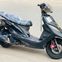 دراجة ثعلب • أوراق • حي النصر