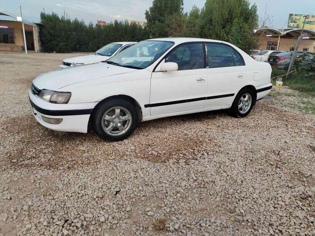 لبيع 40 الي مو شراي لا تتصل ***********
