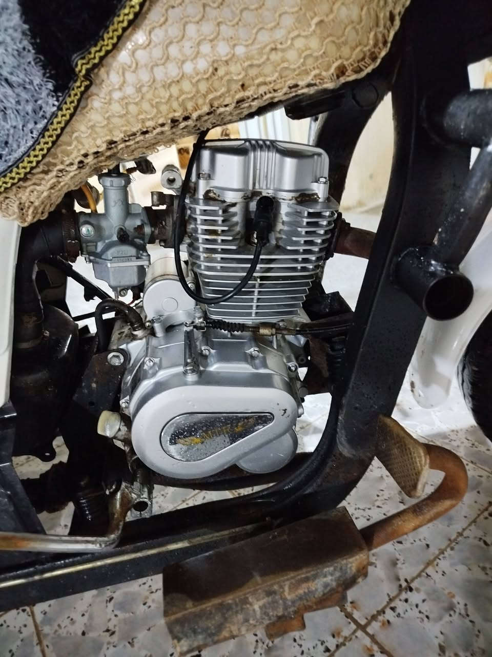 سلام عليكم ستوته ادوات ادوات موديل 12 تعمير كامله مكينه بجيس تواير ابو الخطه 3 سعر خاص ناصريه مركز ***********
