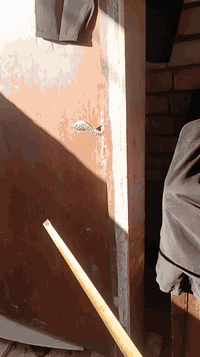 للبيع سندويج متعدد الامتار و باب خشب اصلية كاملة 
و شباك ثكيل و باب حديد و شباك بواري شخاط 
بغداد هياكل الغزالية  ***********
