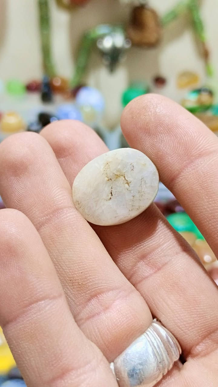 داودي اليمن طبيعي عينتين


**إذا كنت صاحب هذا الإعلان وتريد حذفه لأي سبب، رجاءا أرسل رسالة إلى الدعم الفني**